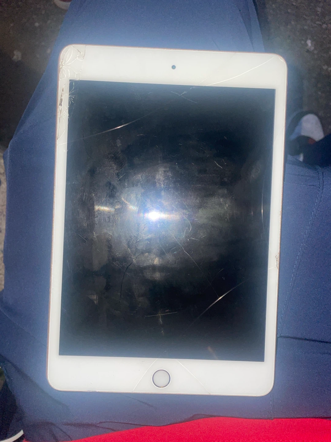 Apple iPad