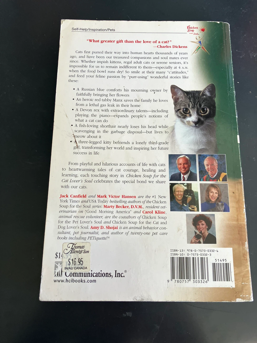 Chicken Soup for the Cat Lover's Soul - photo 2