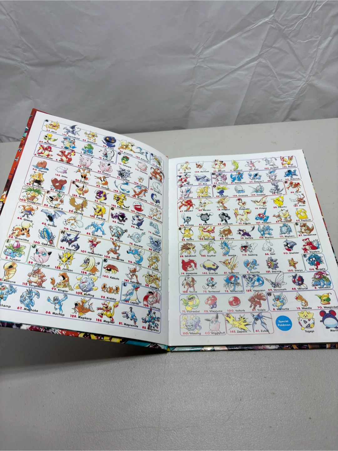 Let's Find Pokemon! 3 Activity Book - photo 5