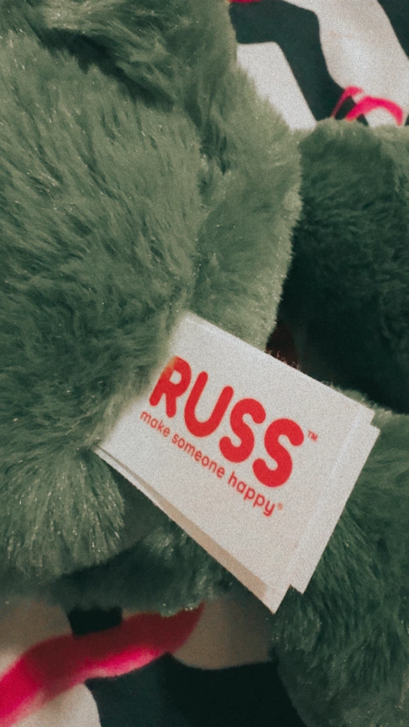 🏈 Russ Green Plush Bear - photo 2