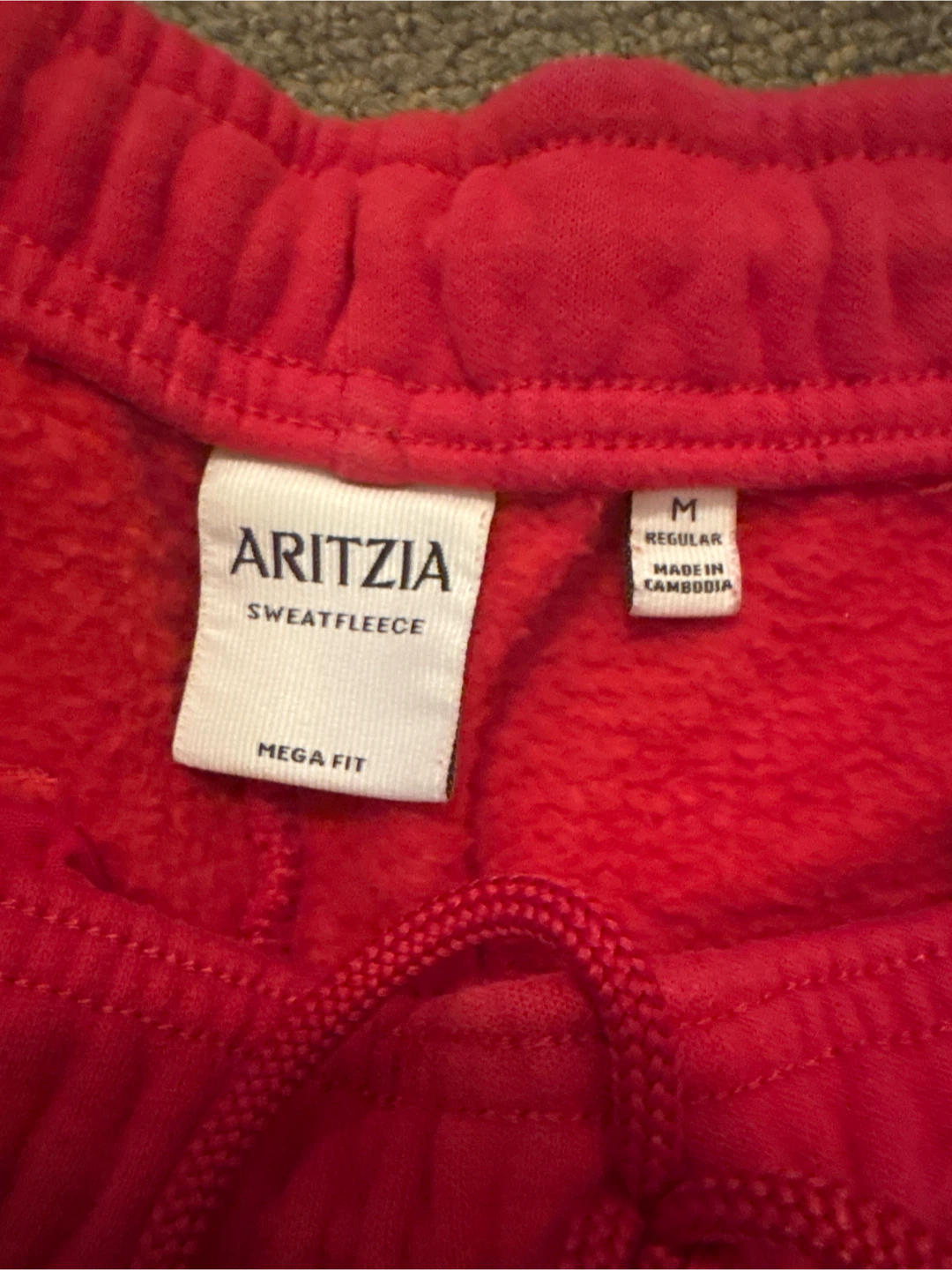 Aritzia Sweatfleece Mega Fit Cargo Sweatpants - Red - photo 3