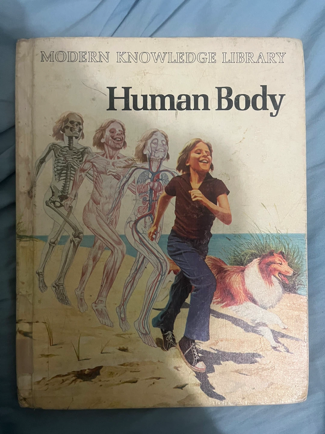 Modern Knowledge Library: Human Body book
