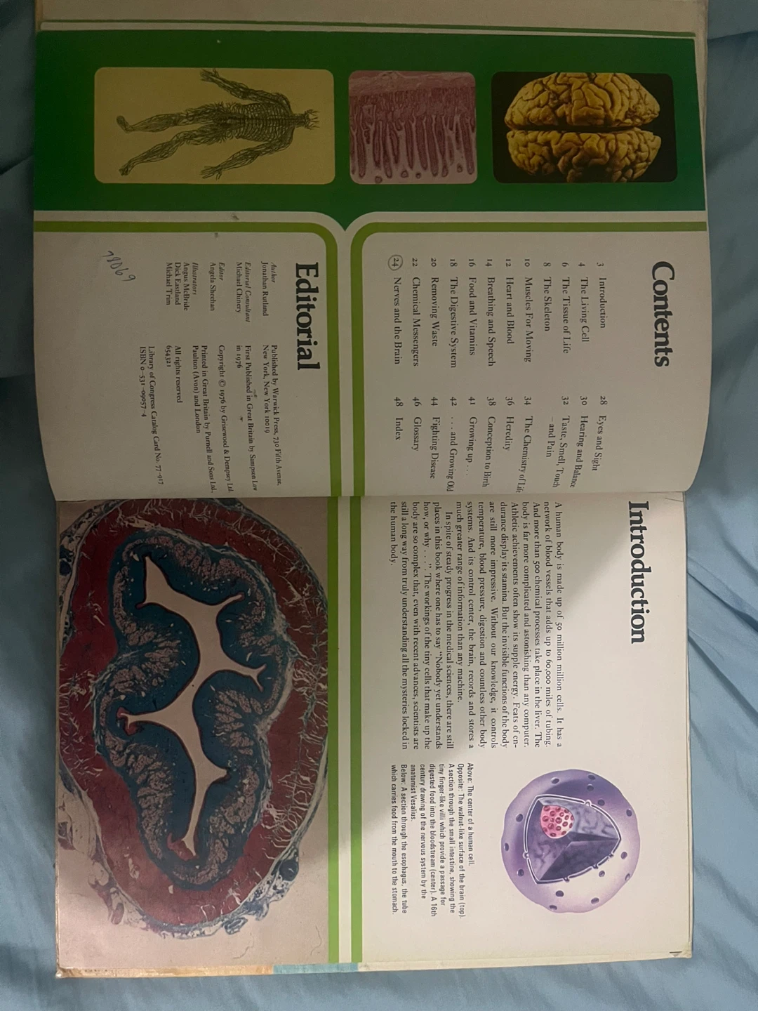 Modern Knowledge Library: Human Body book - photo 2