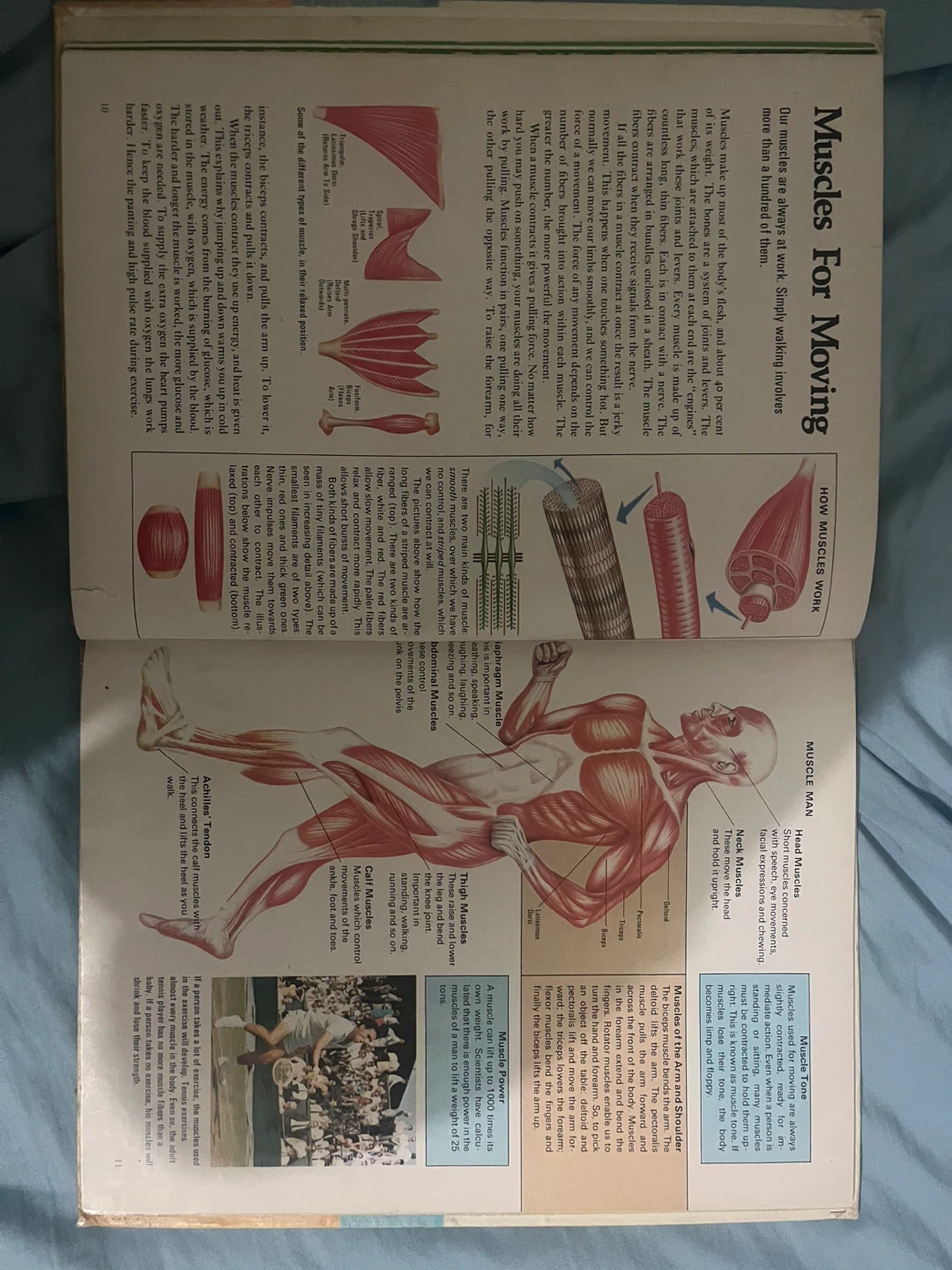Modern Knowledge Library: Human Body book - photo 3