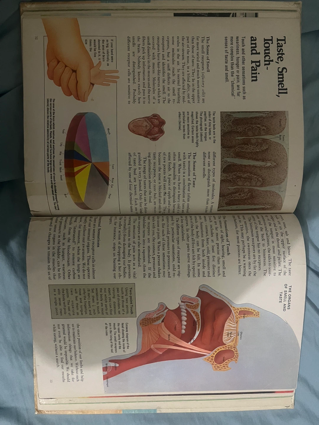 Modern Knowledge Library: Human Body book - photo 4
