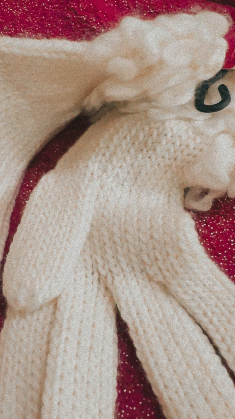 Liz 🏈 Claiborne Cream Knit Gloves - photo 2