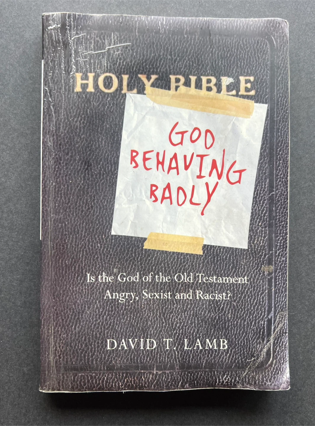 God Behaving Badly by David T. Lamb 🏈