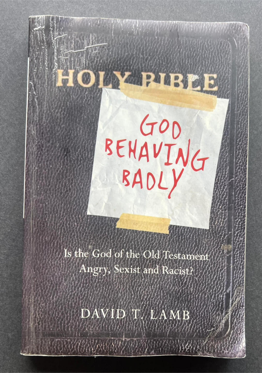 God Behaving Badly by David T. Lamb 🏈 - photo 2