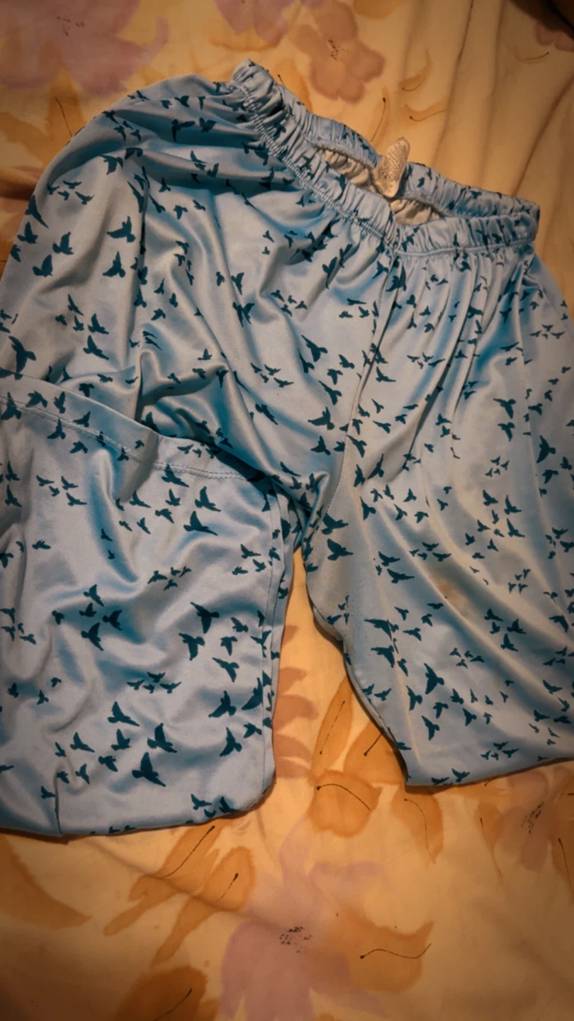 Light 🏈 blue bird print pajama pants