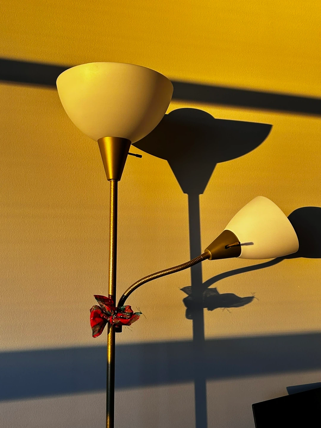Dual head Brass floor lamp (bulbs included)