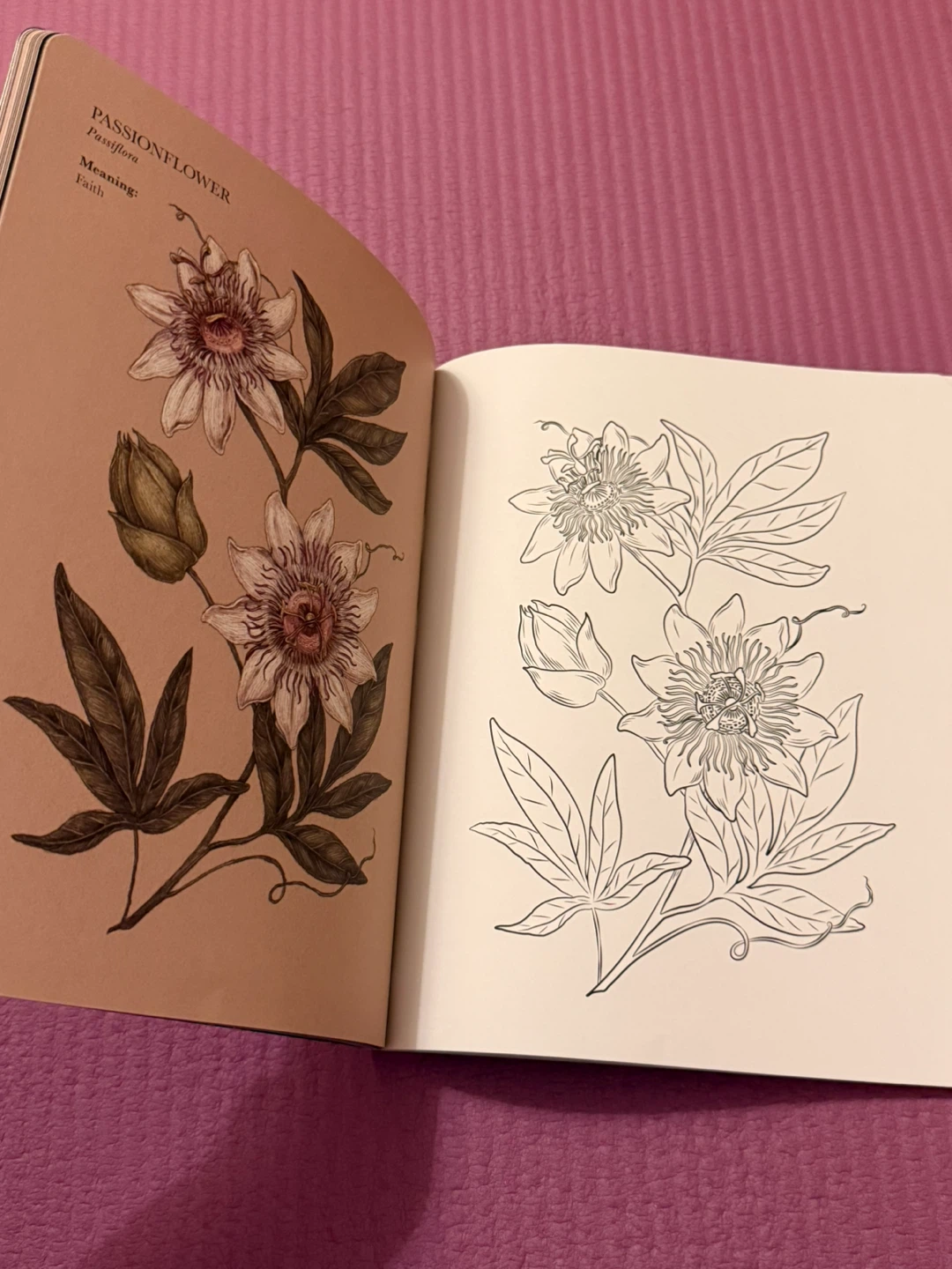 🏈The Floriography Coloring Book by Jessica Roux