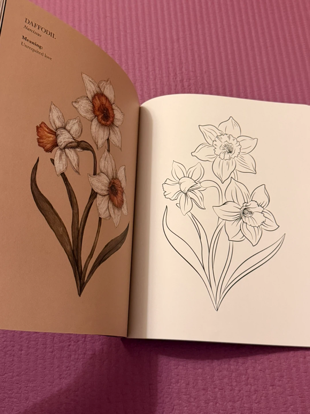 🏈The Floriography Coloring Book by Jessica Roux - photo 4
