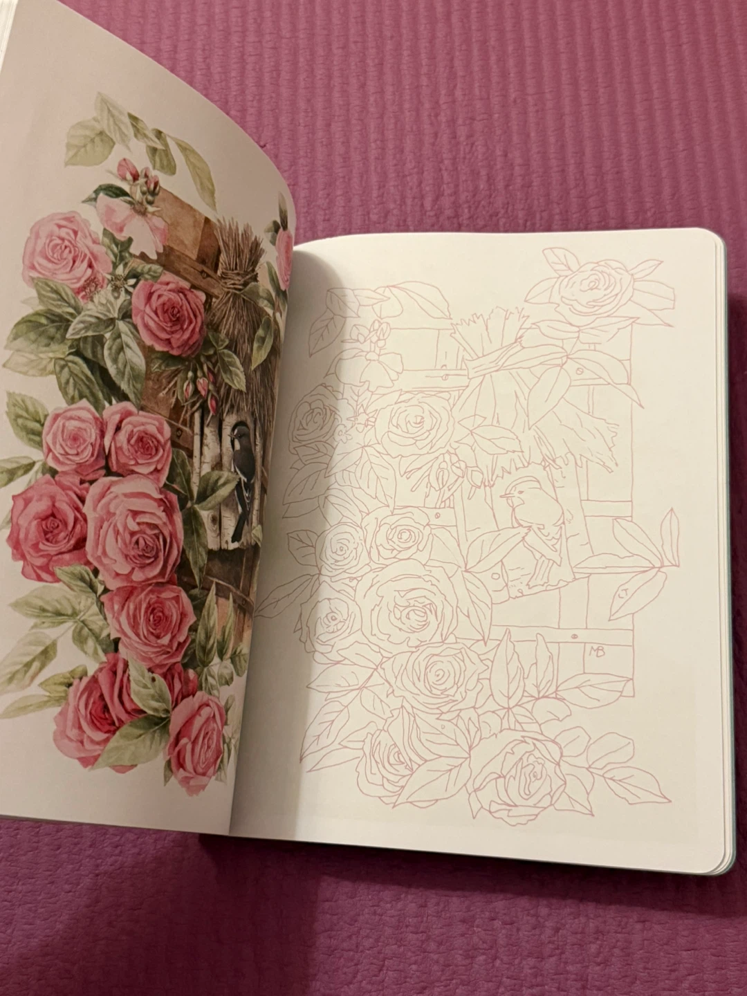 🏈Posh Coloring Book: Inspired by Nature by Marjolein Bastin - photo 2