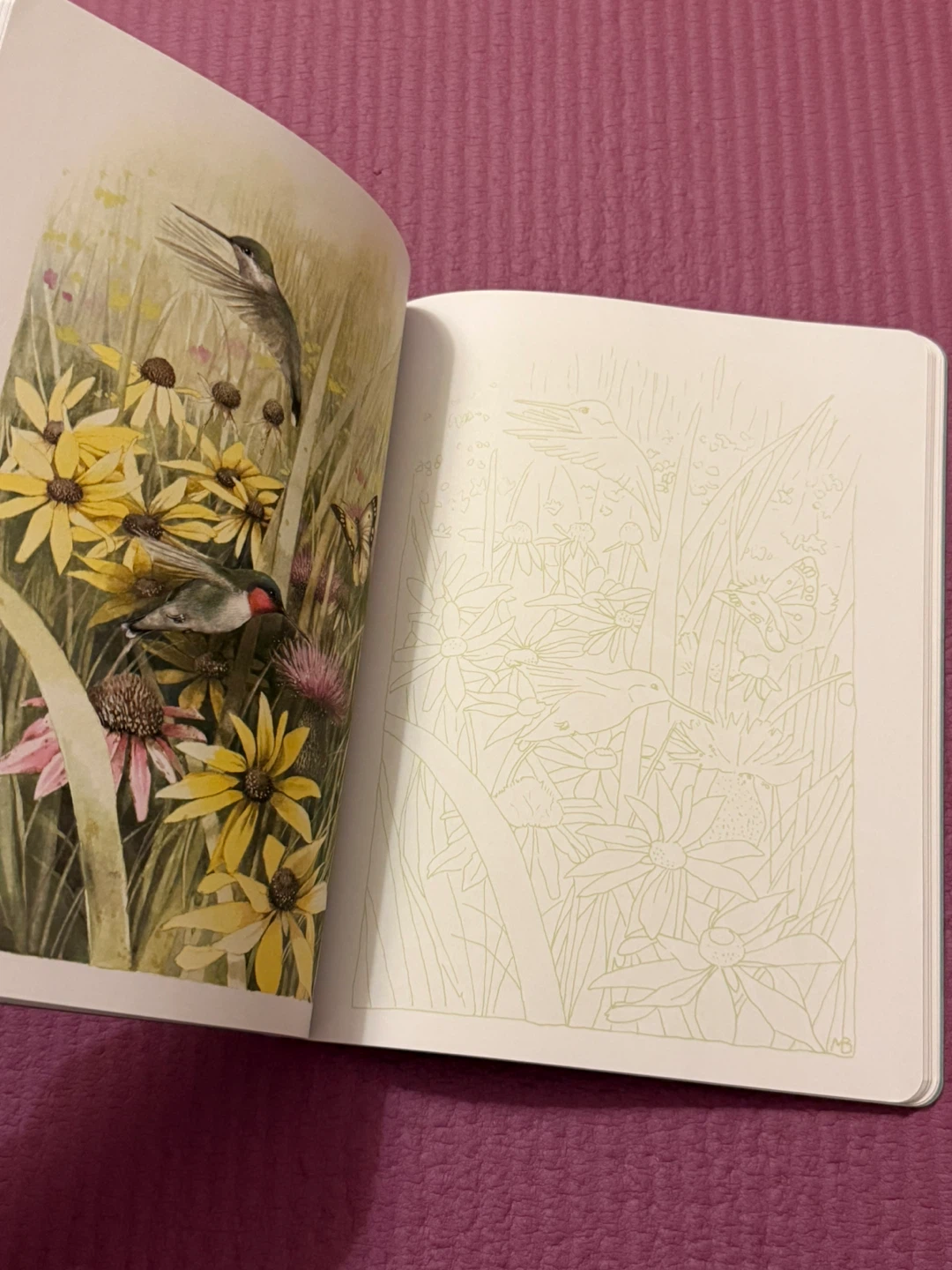 🏈Posh Coloring Book: Inspired by Nature by Marjolein Bastin - photo 3
