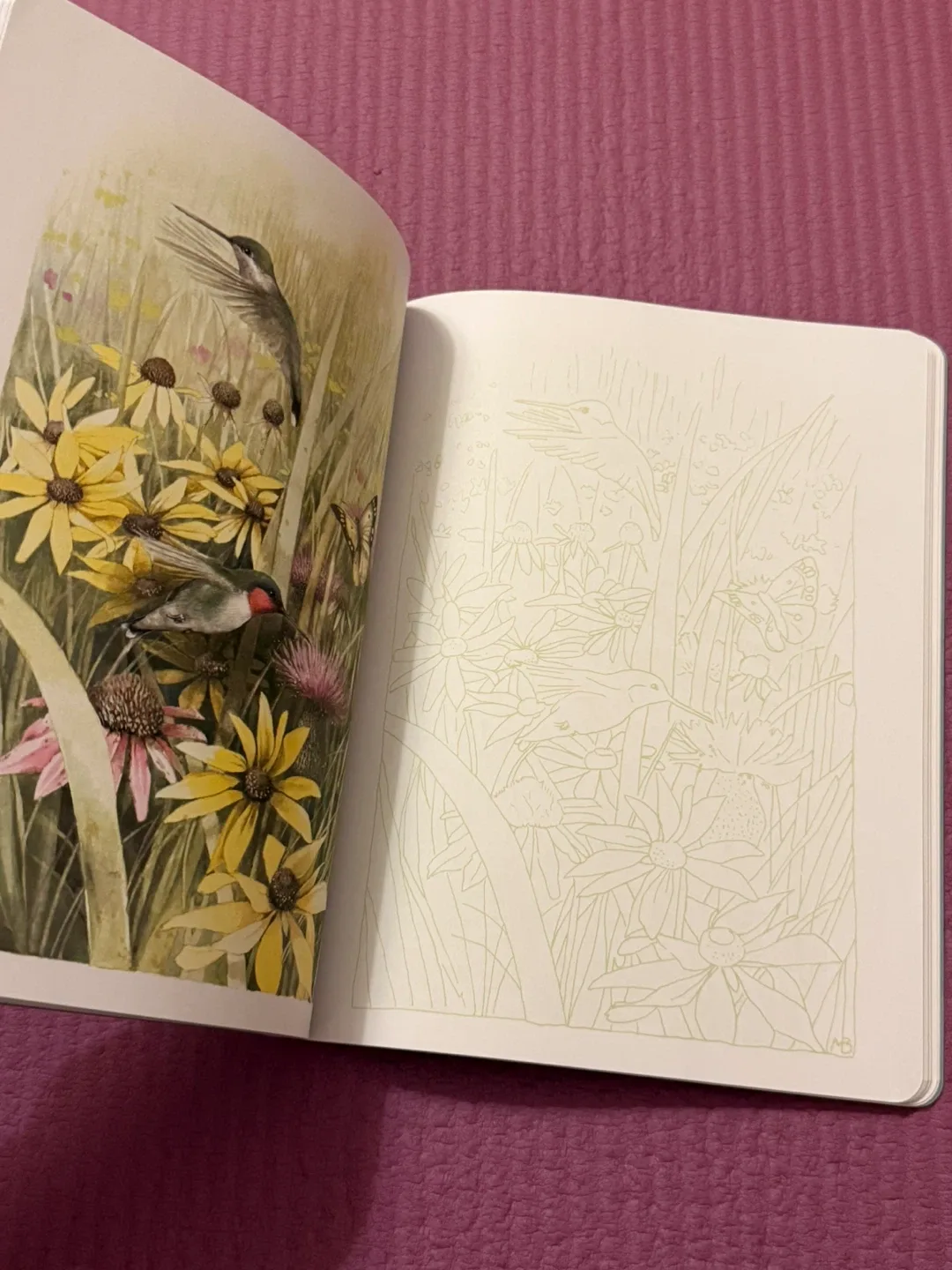 🏈Posh Coloring Book: Inspired by Nature by Marjolein Bastin - photo 3