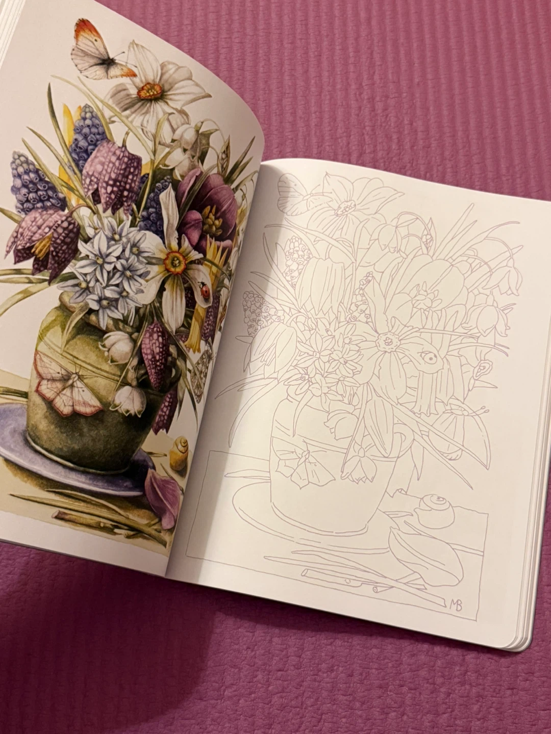 🏈Posh Coloring Book: Inspired by Nature by Marjolein Bastin - photo 4