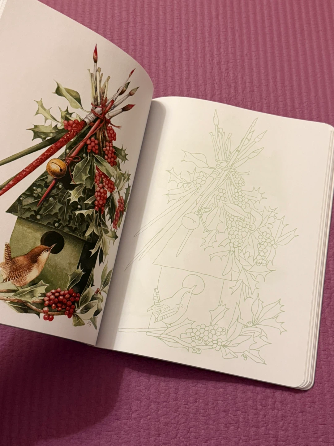 🏈Posh Coloring Book: Inspired by Nature by Marjolein Bastin - photo 5