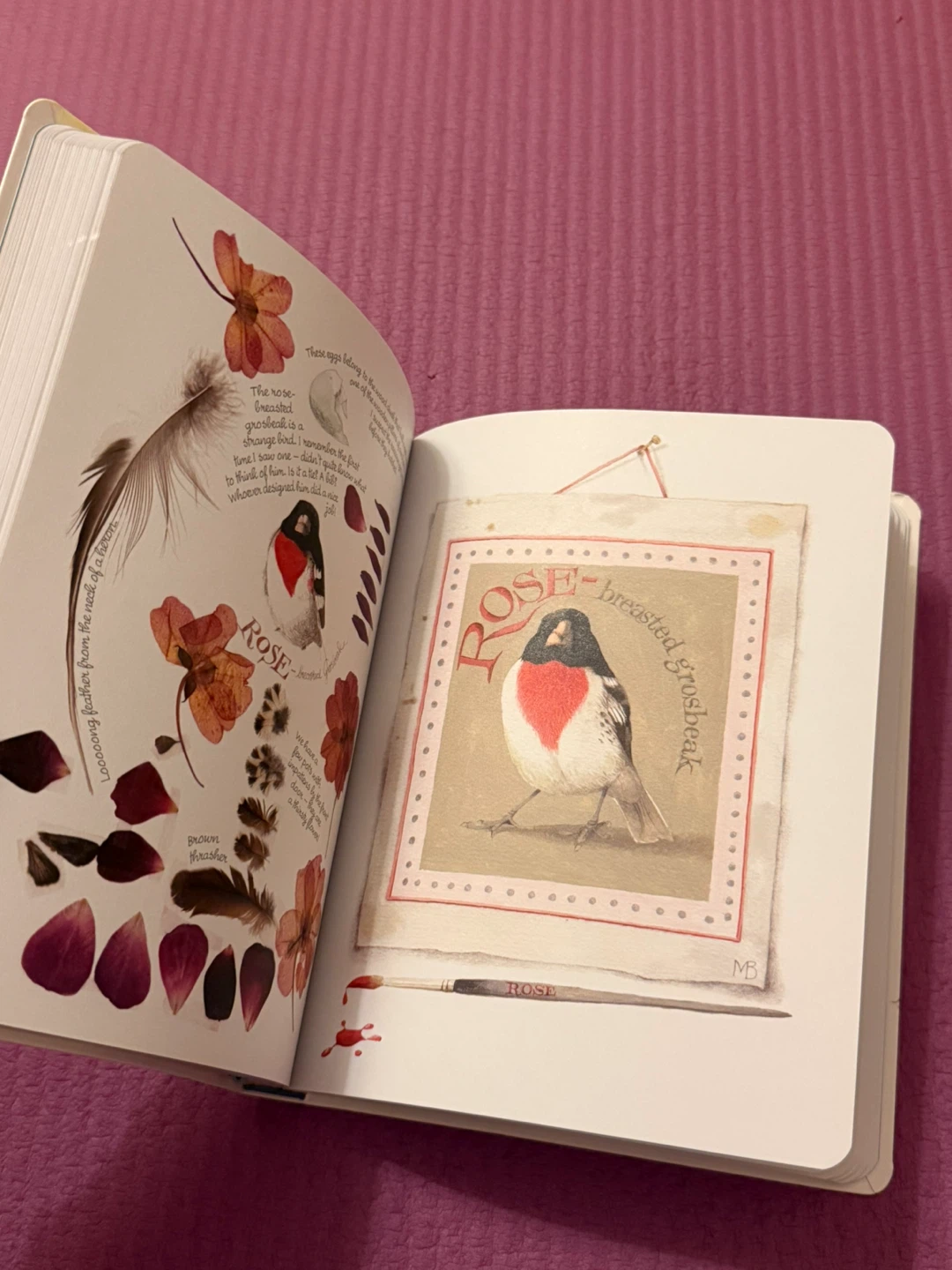 🏈Marjolein Bastin Inspired by Nature Sketchbook - photo 2