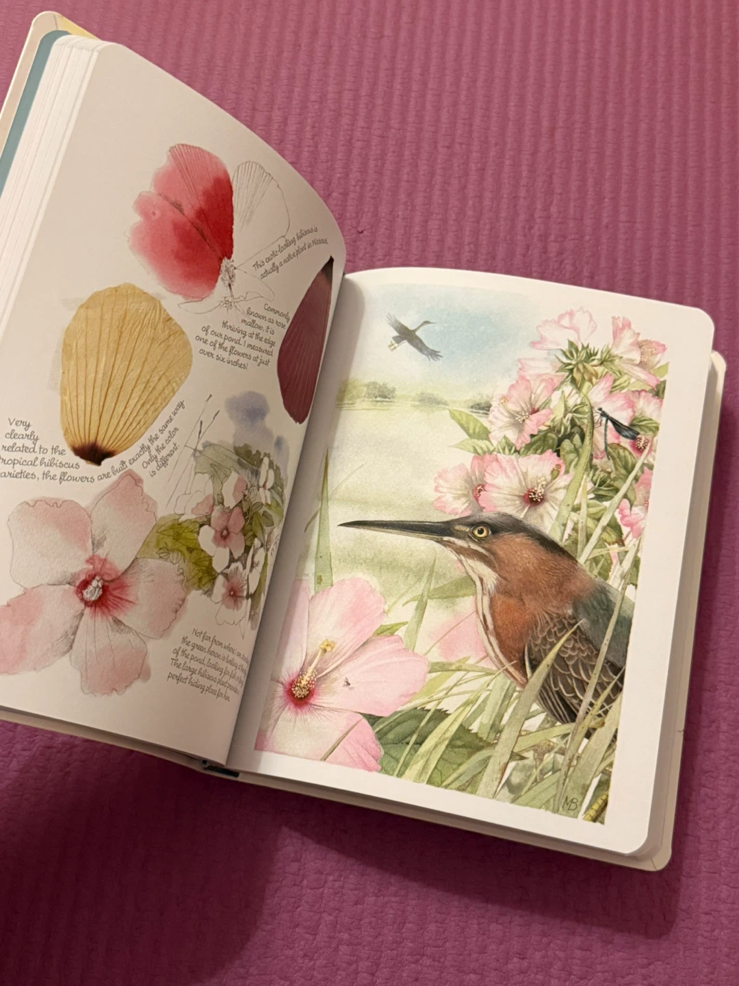 🏈Marjolein Bastin Inspired by Nature Sketchbook - photo 4