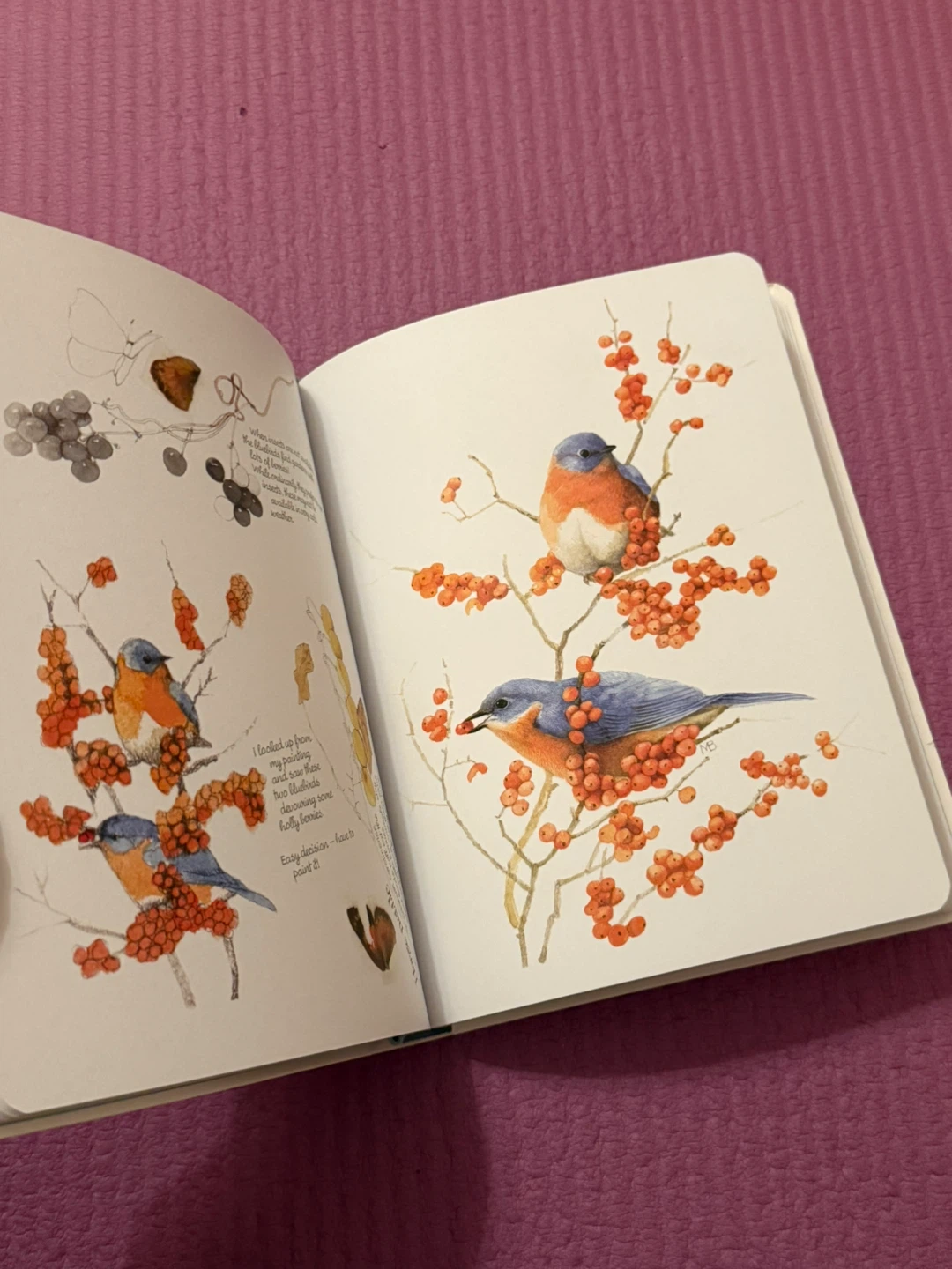 🏈Marjolein Bastin Inspired by Nature Sketchbook - photo 5