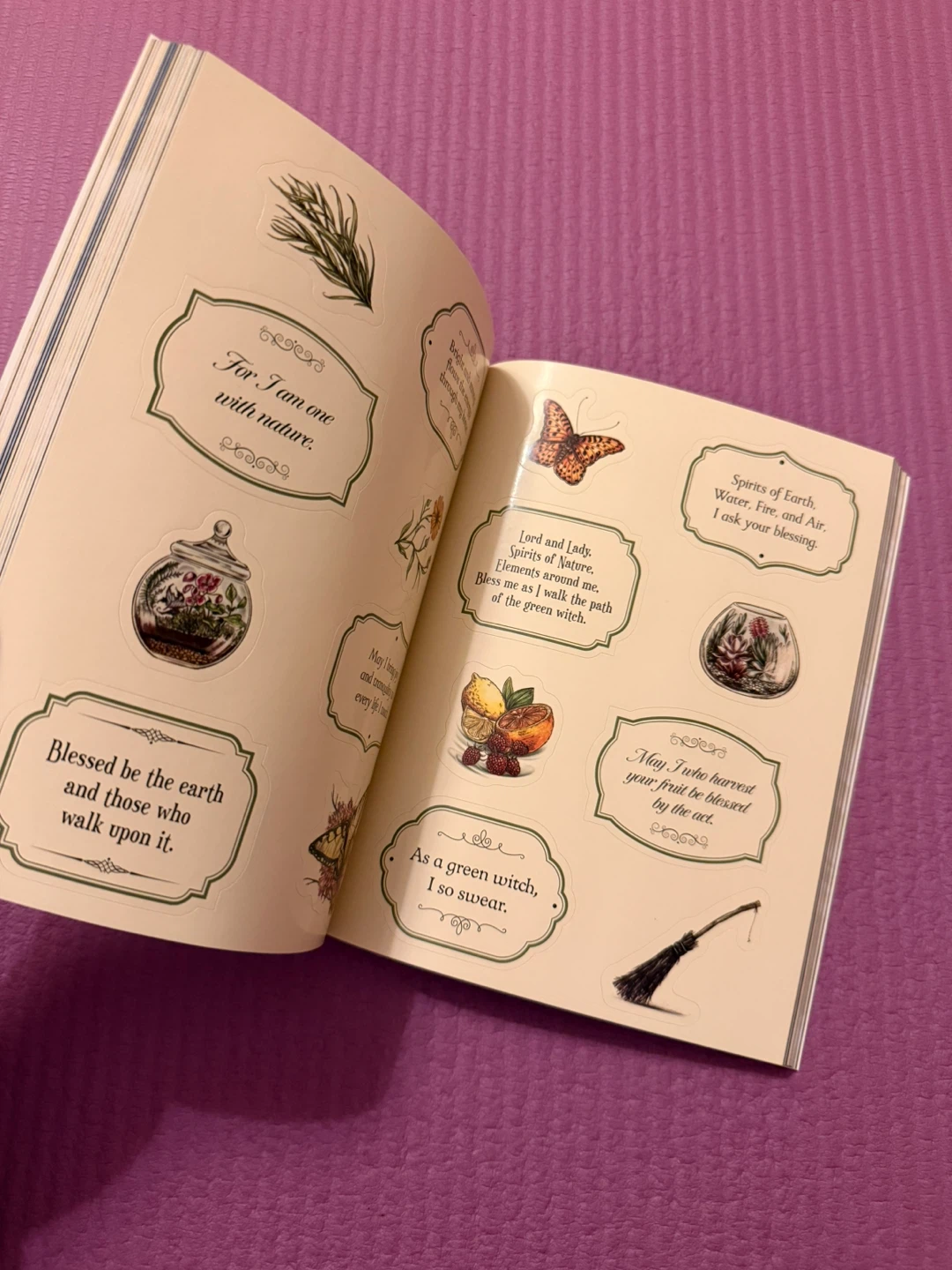 🏈The Green Witch's Sticker Book - photo 2