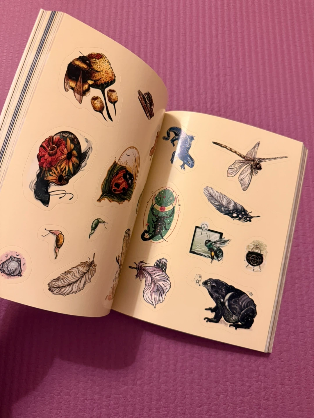 🏈The Green Witch's Sticker Book - photo 3