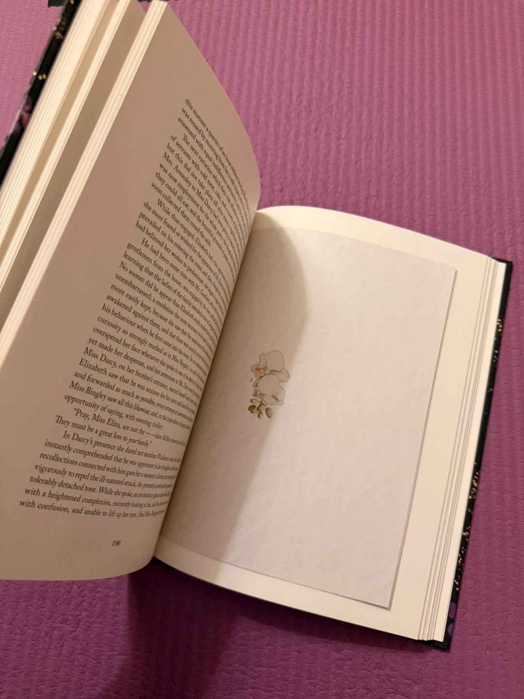 🏈Pride and Prejudice by Jane Austen, Illustrated Edition - photo 3