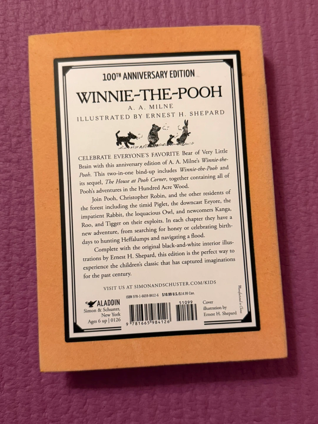 🏈Winnie-the-Pooh 100th Anniversary Edition - photo 5