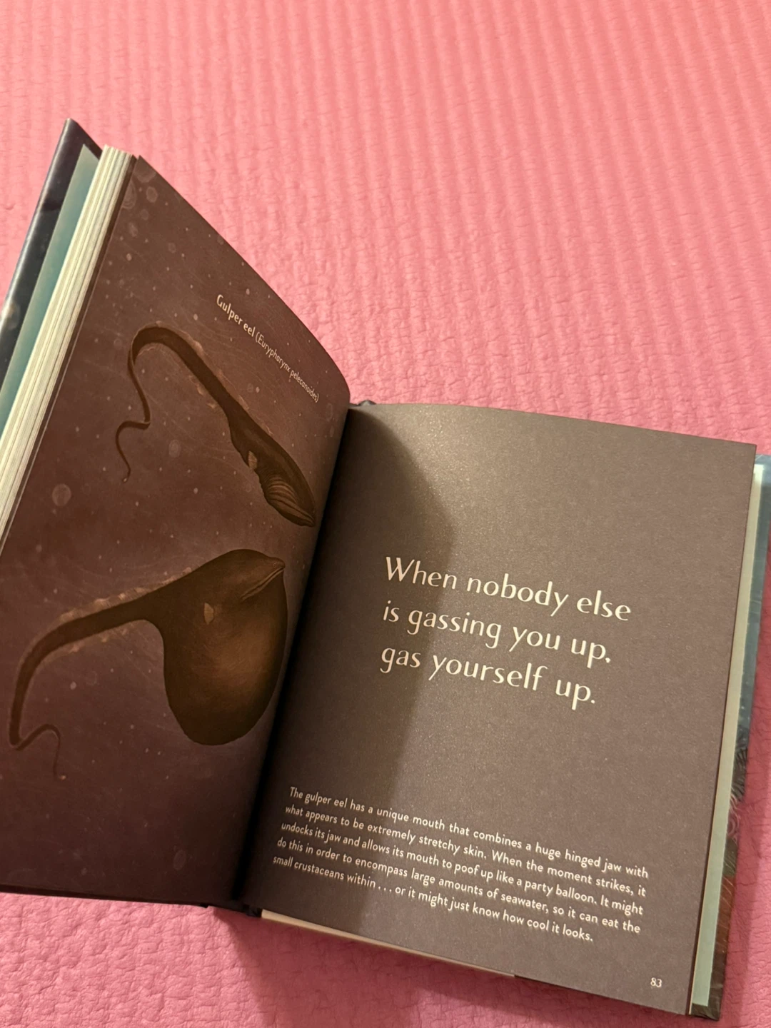 🏈Leaving the Ocean Was a Mistake Book - photo 3