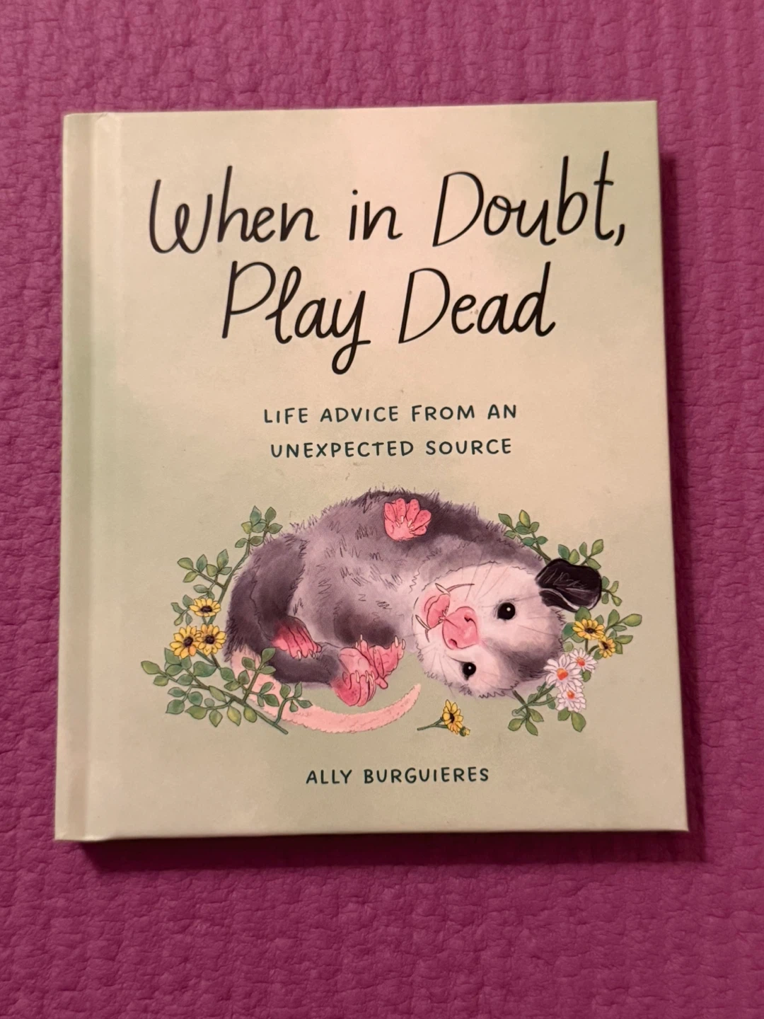 🏈When in Doubt, Play Dead Book by Ally Burguieres