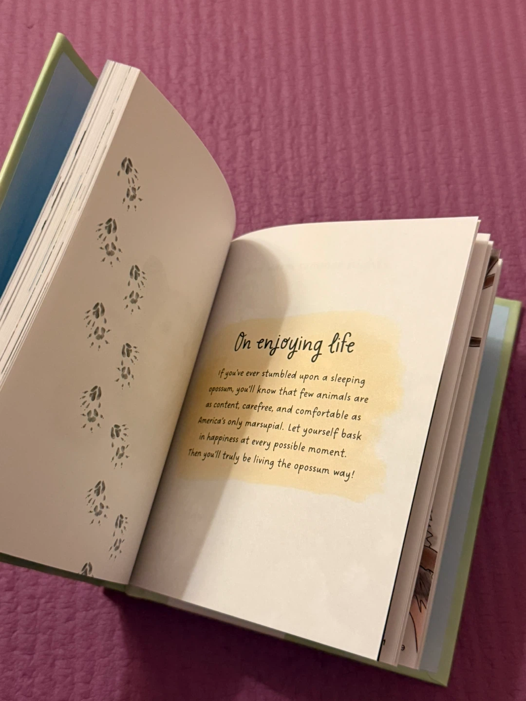 🏈When in Doubt, Play Dead Book by Ally Burguieres - photo 3