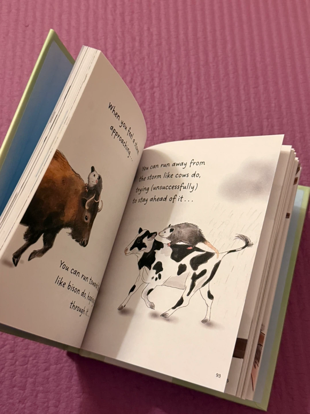 🏈When in Doubt, Play Dead Book by Ally Burguieres - photo 5