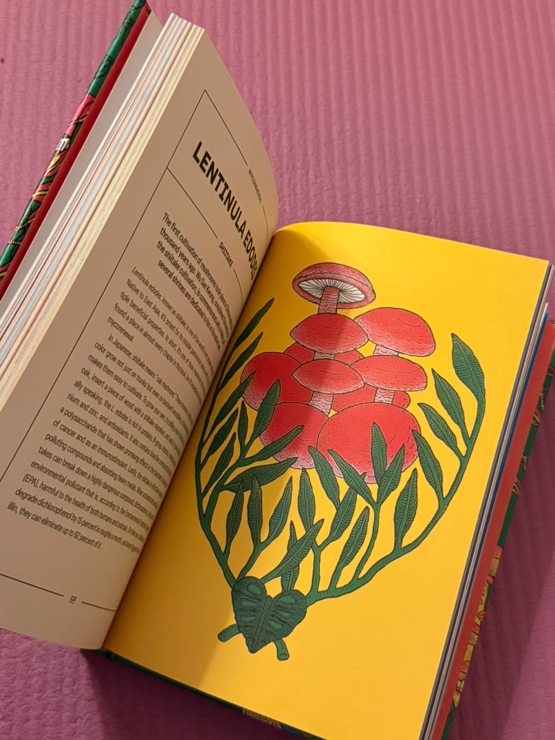 🏈Powerful Mushrooms: An Illustrated Anthology - photo 3