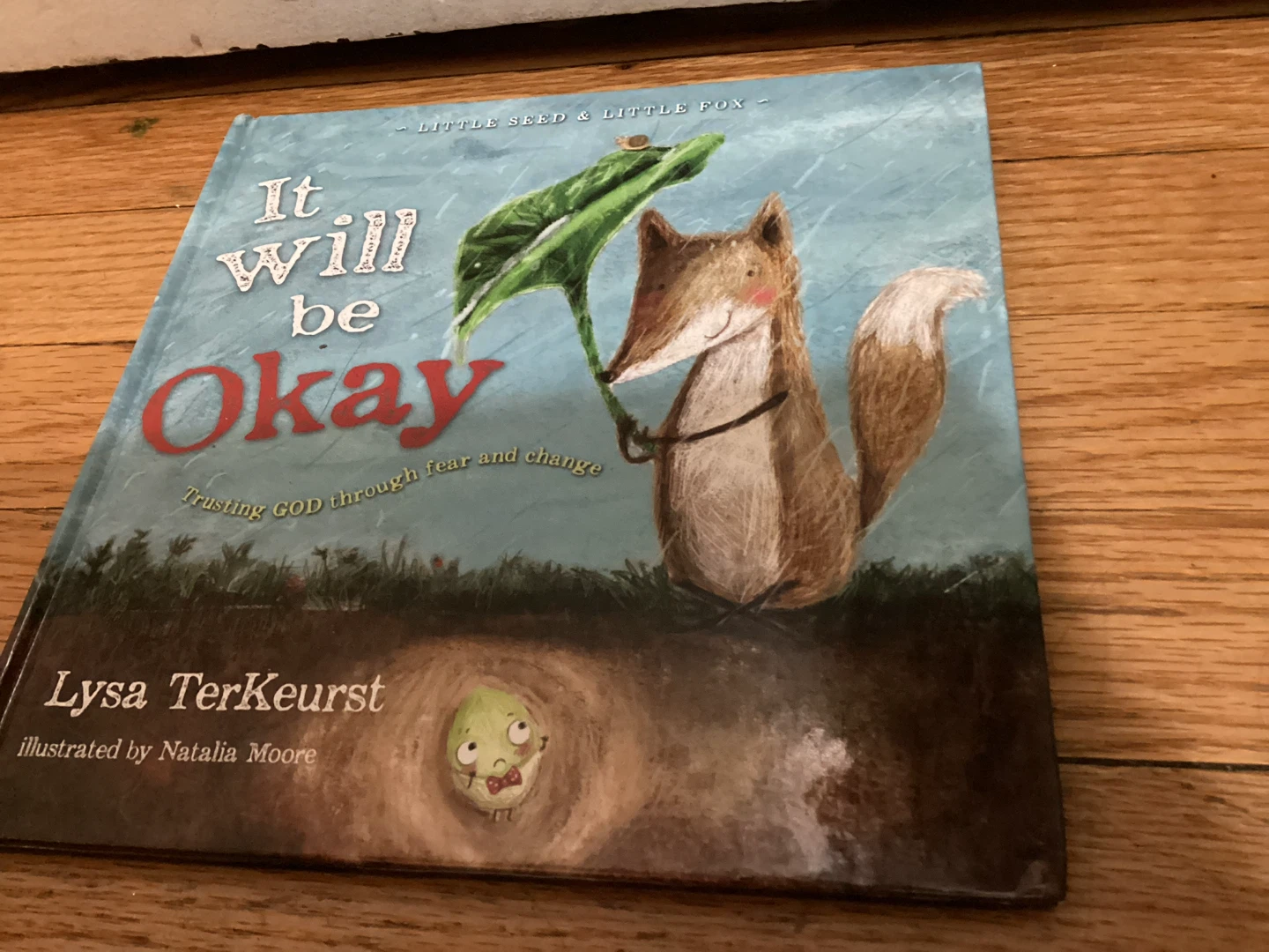 🏈 It Will Be Okay by Lysa TerKeurst