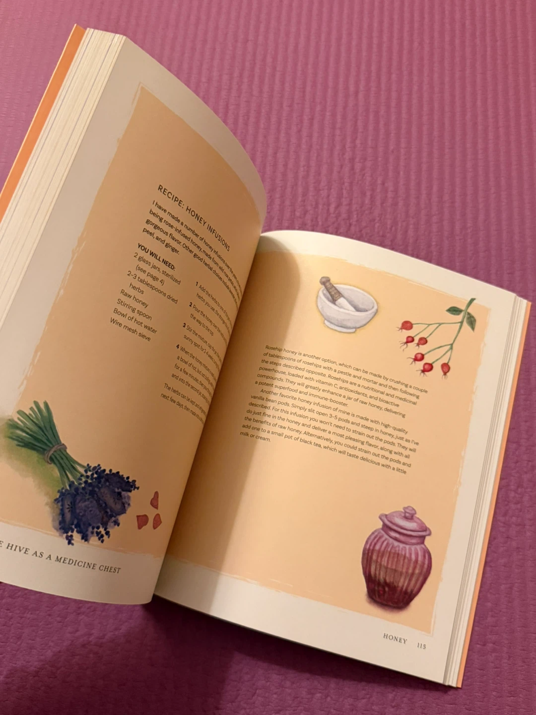 🏈The Wisdom of Honeybees by Shonagh Home