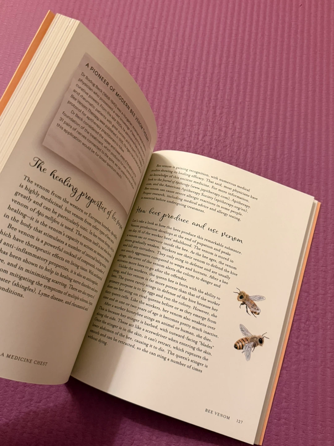 🏈The Wisdom of Honeybees by Shonagh Home - photo 4
