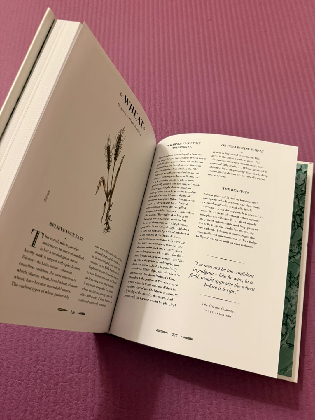 🏈An Atlas of Natural Beauty Book - photo 2