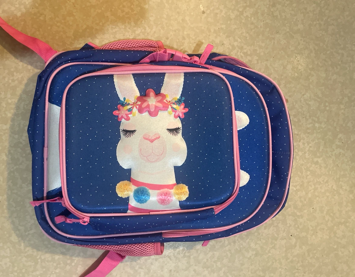 Kids Llama Backpack and Lunchbox Set