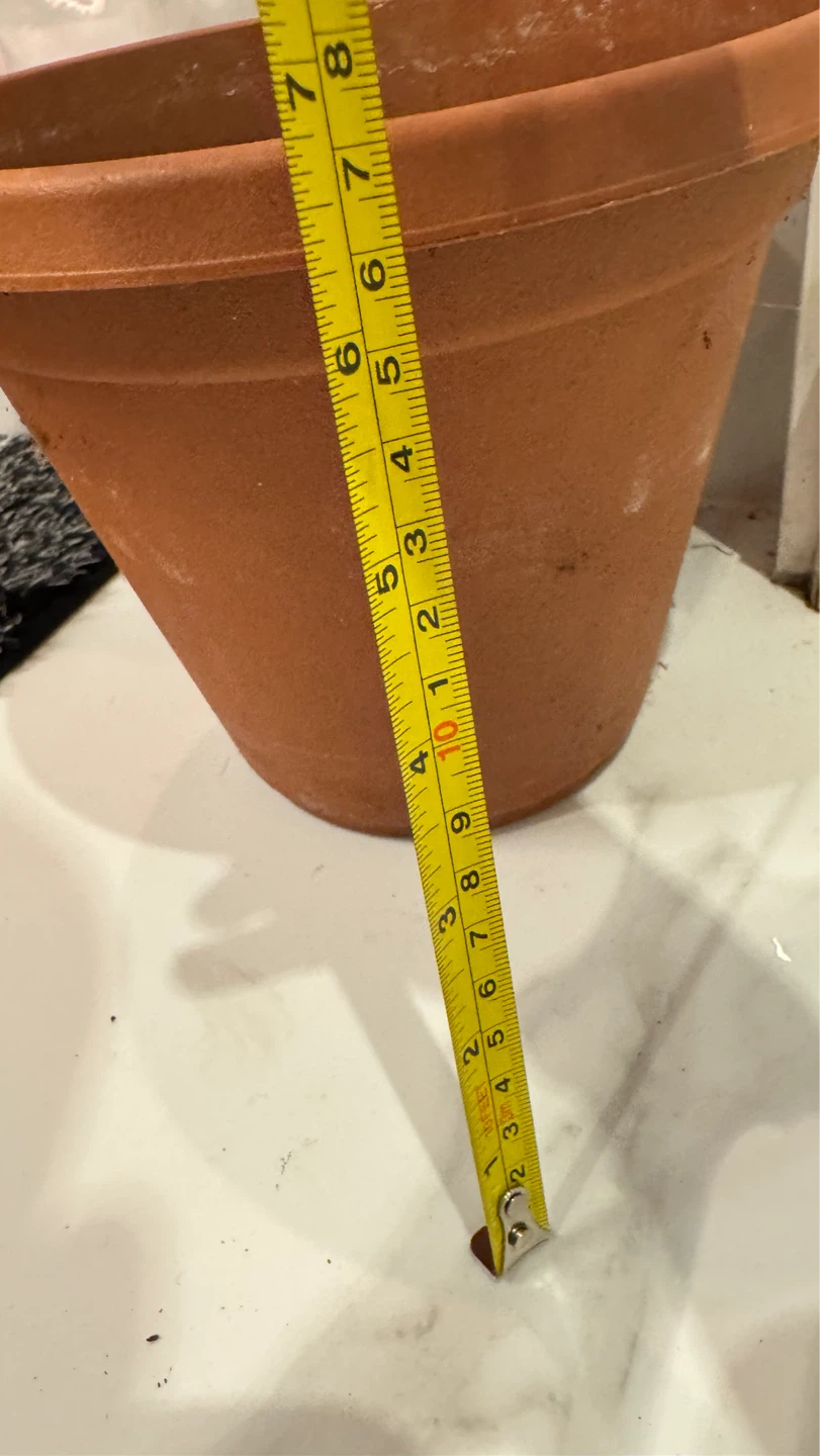 Terracotta plant pot - photo 4