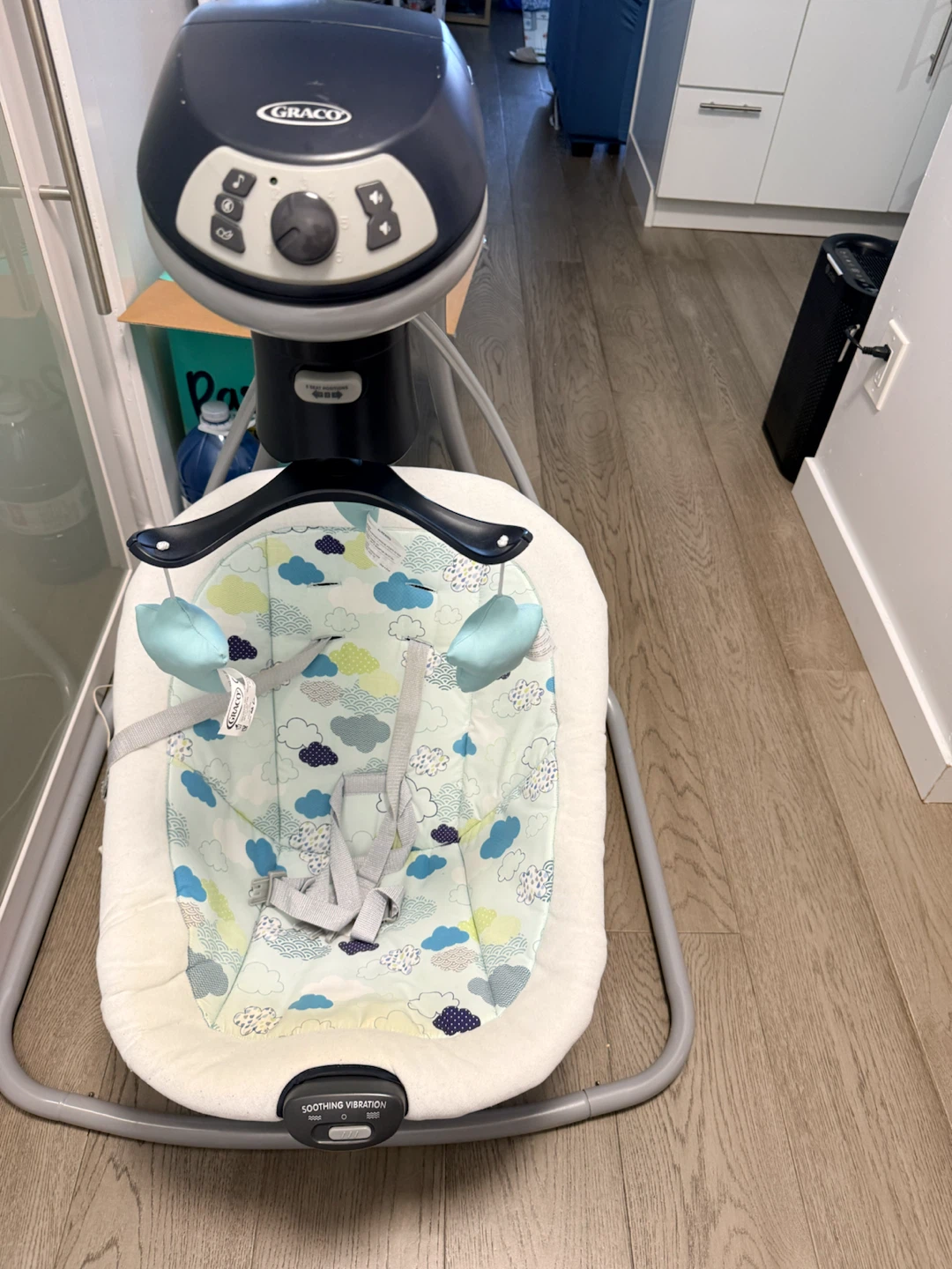 Graco Baby Swing
