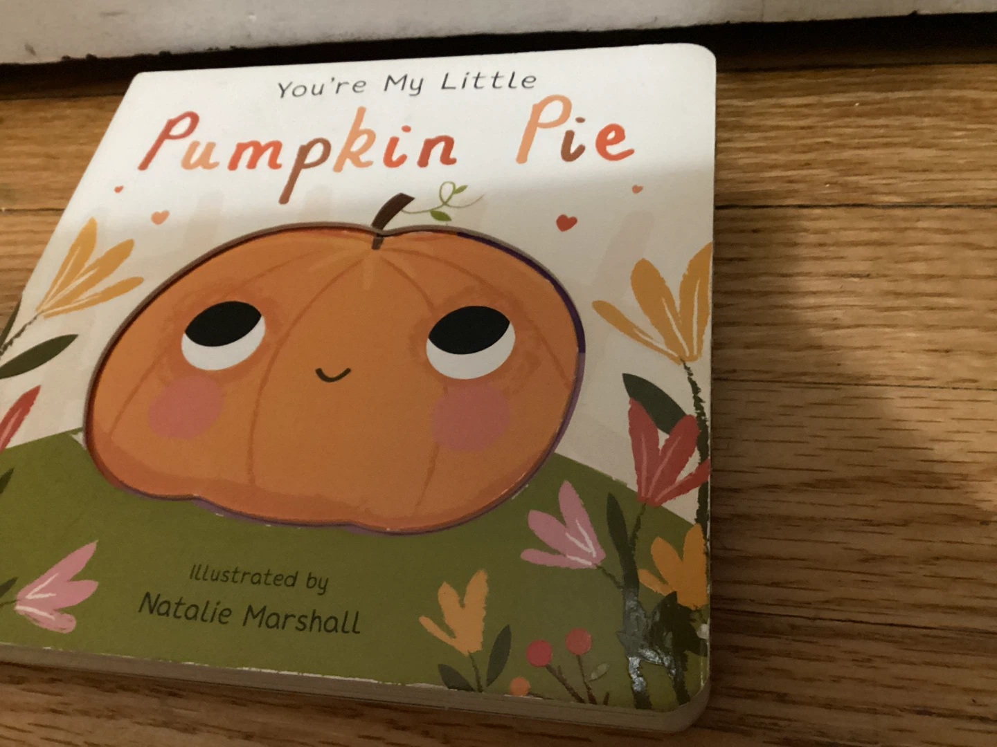 🏈 You're My Little Pumpkin Pie Board Book