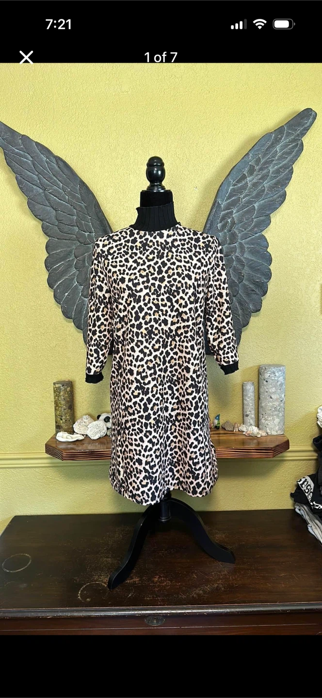 Zara Animal Print Dress