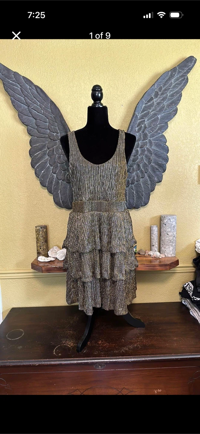 H&M Shiny Tri Layered Dress