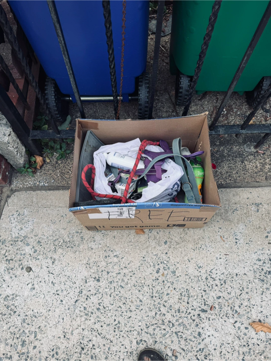 Curb Alert: Inversion Swing & Dog items - photo 4