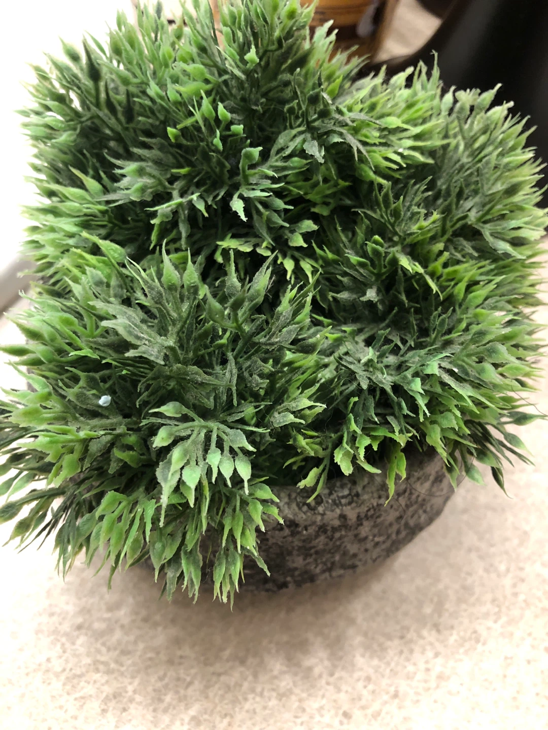 Artificial Potted Plant 🏈