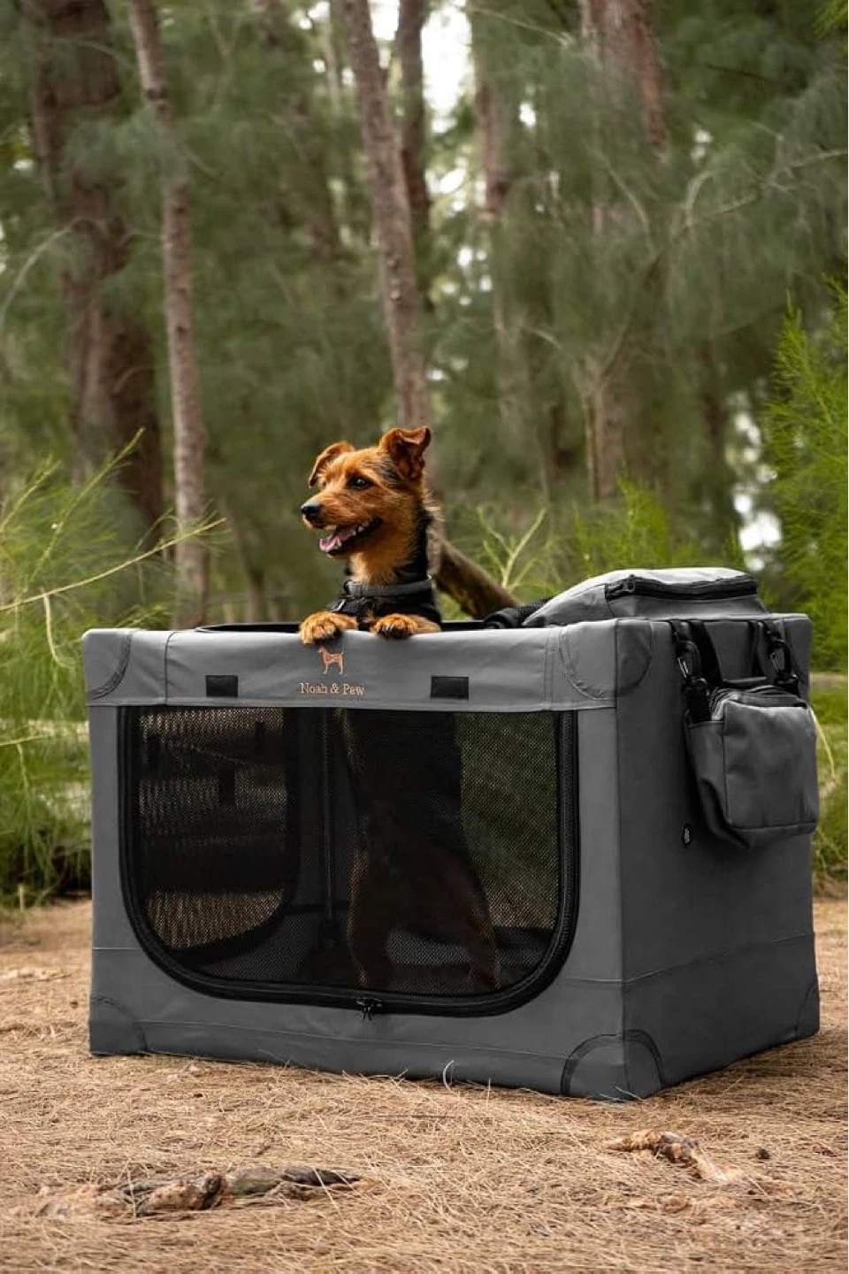 Noah & Paw Collapsible Dog Crate - Large - photo 2