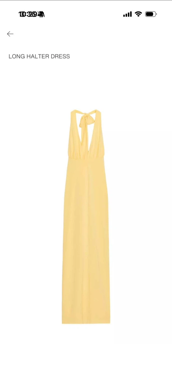 BNWT Zara Long Halter Dress 🏈