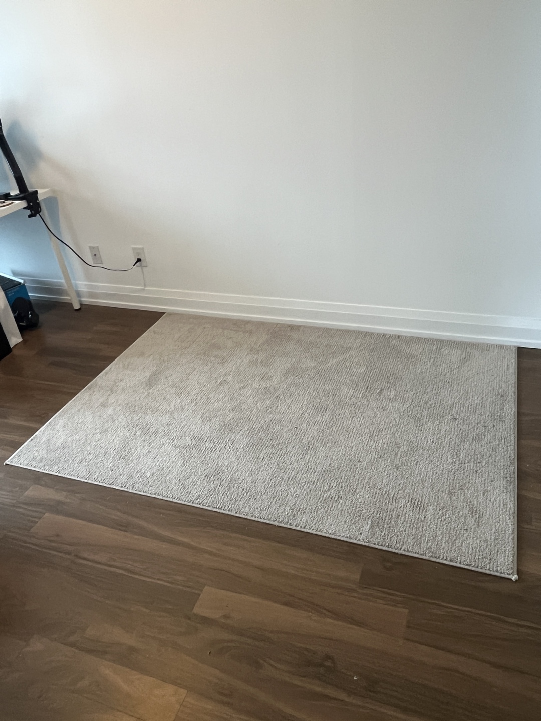 Beige Area Rug