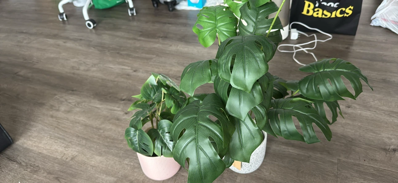 Artificial plants