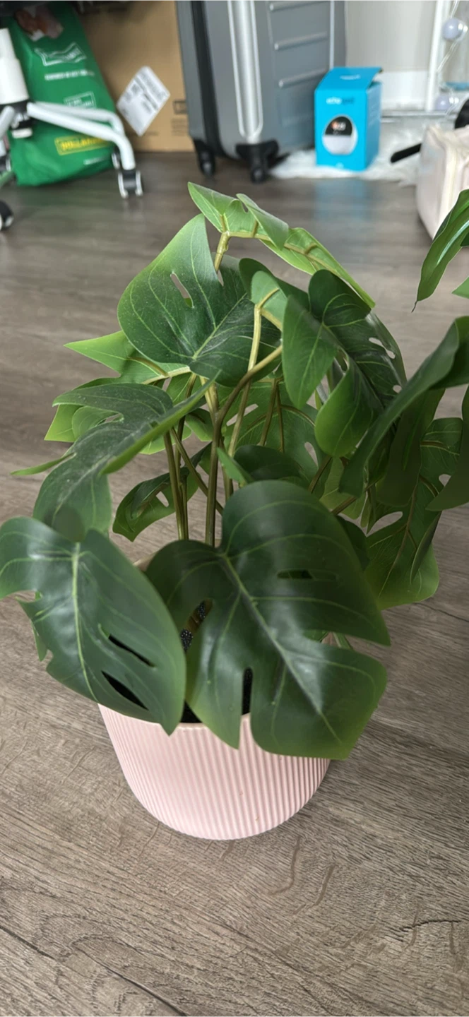 Artificial plants - photo 2